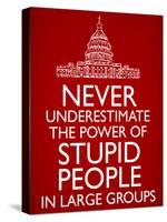 Never Underestimate Stupid People in Large Groups Poster-null-Stretched Canvas