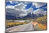 Neverland Patagonia. Lake Pehoe, Graceful Guanaco on Gravel Road. Away in the Clouds - the Cliffs O-kavram-Mounted Photographic Print