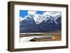 Neverland Patagonia. on Coast of Lake Pehoe Graceful Guanaco . Away in the Clouds - the Cliffs of L-kavram-Framed Photographic Print