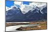 Neverland Patagonia. on Coast of Lake Pehoe Graceful Guanaco . Away in the Clouds - the Cliffs of L-kavram-Mounted Photographic Print