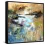 Nevern Lights V-Anne Farrall Doyle-Framed Stretched Canvas