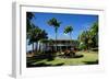 Nevis Botanical Garden, Nevis, St. Kitts and Nevis-Robert Harding-Framed Photographic Print