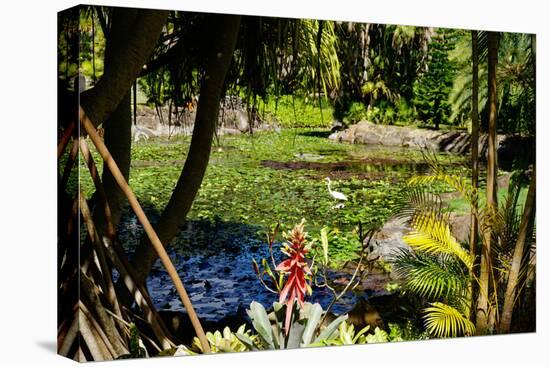 Nevis Botanical Garden, Nevis, St. Kitts and Nevis-Robert Harding-Stretched Canvas