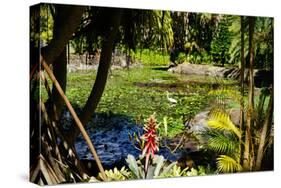 Nevis Botanical Garden, Nevis, St. Kitts and Nevis-Robert Harding-Stretched Canvas