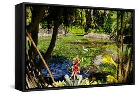 Nevis Botanical Garden, Nevis, St. Kitts and Nevis-Robert Harding-Framed Stretched Canvas