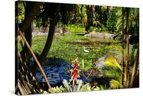 Nevis Botanical Garden, Nevis, St. Kitts and Nevis-Robert Harding-Stretched Canvas