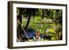 Nevis Botanical Garden, Nevis, St. Kitts and Nevis-Robert Harding-Framed Photographic Print