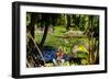 Nevis Botanical Garden, Nevis, St. Kitts and Nevis-Robert Harding-Framed Photographic Print