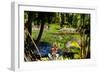 Nevis Botanical Garden, Nevis, St. Kitts and Nevis-Robert Harding-Framed Photographic Print