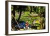 Nevis Botanical Garden, Nevis, St. Kitts and Nevis-Robert Harding-Framed Photographic Print