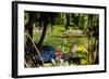 Nevis Botanical Garden, Nevis, St. Kitts and Nevis-Robert Harding-Framed Photographic Print