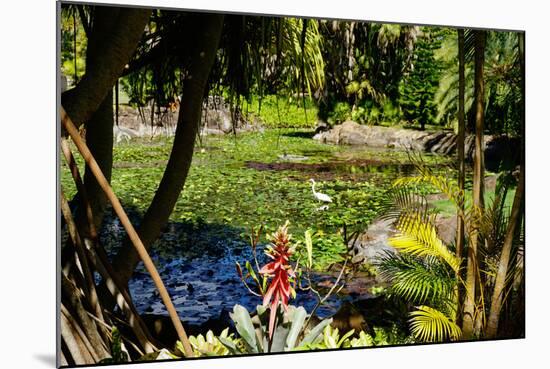 Nevis Botanical Garden, Nevis, St. Kitts and Nevis-Robert Harding-Mounted Photographic Print