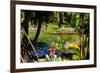 Nevis Botanical Garden, Nevis, St. Kitts and Nevis-Robert Harding-Framed Photographic Print