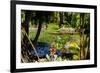 Nevis Botanical Garden, Nevis, St. Kitts and Nevis-Robert Harding-Framed Photographic Print