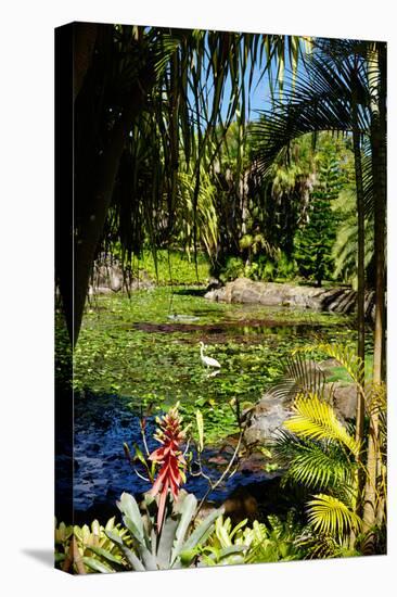 Nevis Botanical Garden, Nevis, St. Kitts and Nevis-Robert Harding-Stretched Canvas