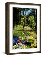 Nevis Botanical Garden, Nevis, St. Kitts and Nevis-Robert Harding-Framed Photographic Print