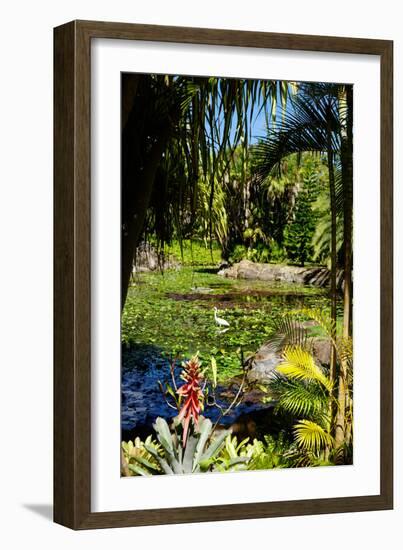 Nevis Botanical Garden, Nevis, St. Kitts and Nevis-Robert Harding-Framed Photographic Print