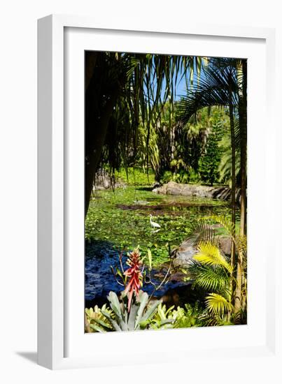Nevis Botanical Garden, Nevis, St. Kitts and Nevis-Robert Harding-Framed Photographic Print