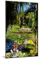 Nevis Botanical Garden, Nevis, St. Kitts and Nevis-Robert Harding-Mounted Photographic Print