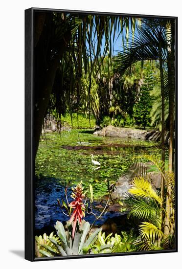 Nevis Botanical Garden, Nevis, St. Kitts and Nevis-Robert Harding-Framed Photographic Print