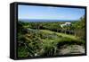 Nevis Botanical Garden, Nevis, St. Kitts and Nevis-Robert Harding-Framed Stretched Canvas