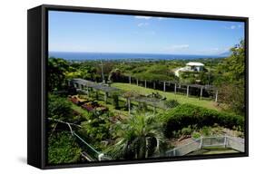Nevis Botanical Garden, Nevis, St. Kitts and Nevis-Robert Harding-Framed Stretched Canvas