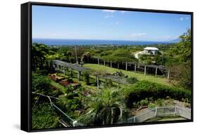 Nevis Botanical Garden, Nevis, St. Kitts and Nevis-Robert Harding-Framed Stretched Canvas