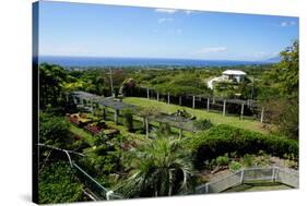 Nevis Botanical Garden, Nevis, St. Kitts and Nevis-Robert Harding-Stretched Canvas