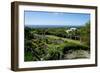 Nevis Botanical Garden, Nevis, St. Kitts and Nevis-Robert Harding-Framed Photographic Print