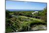 Nevis Botanical Garden, Nevis, St. Kitts and Nevis-Robert Harding-Mounted Photographic Print