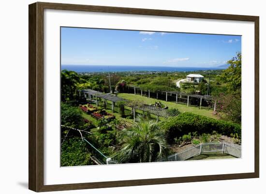 Nevis Botanical Garden, Nevis, St. Kitts and Nevis-Robert Harding-Framed Photographic Print