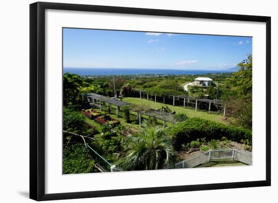 Nevis Botanical Garden, Nevis, St. Kitts and Nevis-Robert Harding-Framed Photographic Print