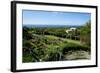 Nevis Botanical Garden, Nevis, St. Kitts and Nevis-Robert Harding-Framed Photographic Print