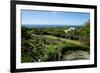 Nevis Botanical Garden, Nevis, St. Kitts and Nevis-Robert Harding-Framed Photographic Print