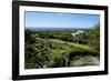 Nevis Botanical Garden, Nevis, St. Kitts and Nevis-Robert Harding-Framed Photographic Print