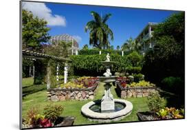 Nevis Botanical Garden, Nevis, St. Kitts and Nevis-Robert Harding-Mounted Photographic Print