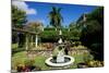 Nevis Botanical Garden, Nevis, St. Kitts and Nevis-Robert Harding-Mounted Photographic Print