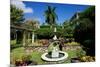 Nevis Botanical Garden, Nevis, St. Kitts and Nevis-Robert Harding-Mounted Photographic Print