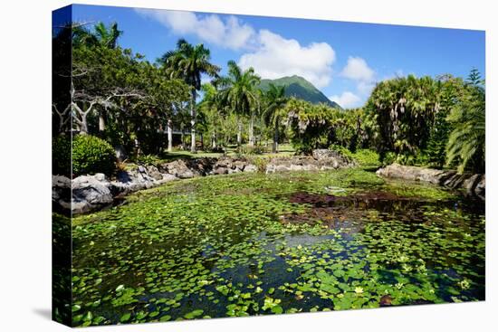 Nevis Botanical Garden, Nevis, St. Kitts and Nevis-Robert Harding-Stretched Canvas