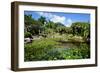 Nevis Botanical Garden, Nevis, St. Kitts and Nevis-Robert Harding-Framed Photographic Print