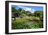 Nevis Botanical Garden, Nevis, St. Kitts and Nevis-Robert Harding-Framed Photographic Print