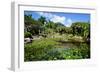 Nevis Botanical Garden, Nevis, St. Kitts and Nevis-Robert Harding-Framed Photographic Print