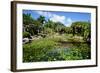 Nevis Botanical Garden, Nevis, St. Kitts and Nevis-Robert Harding-Framed Photographic Print