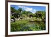 Nevis Botanical Garden, Nevis, St. Kitts and Nevis-Robert Harding-Framed Photographic Print