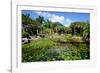 Nevis Botanical Garden, Nevis, St. Kitts and Nevis-Robert Harding-Framed Photographic Print