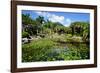 Nevis Botanical Garden, Nevis, St. Kitts and Nevis-Robert Harding-Framed Photographic Print