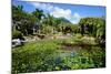 Nevis Botanical Garden, Nevis, St. Kitts and Nevis-Robert Harding-Mounted Photographic Print