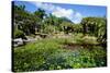 Nevis Botanical Garden, Nevis, St. Kitts and Nevis-Robert Harding-Stretched Canvas