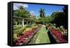 Nevis Botanical Garden, Nevis, St. Kitts and Nevis-Robert Harding-Framed Stretched Canvas