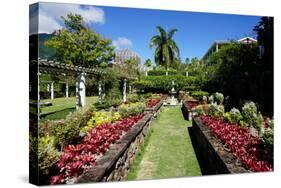 Nevis Botanical Garden, Nevis, St. Kitts and Nevis-Robert Harding-Stretched Canvas